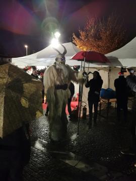 Obisk pobratene občine (20)